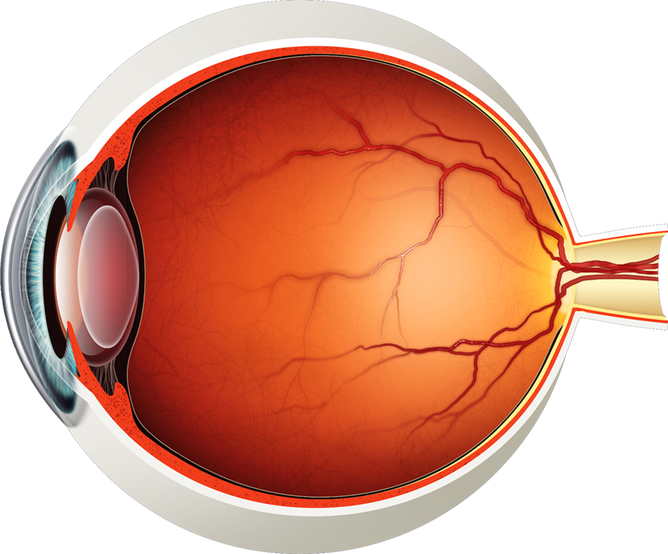 The internal eye diagram